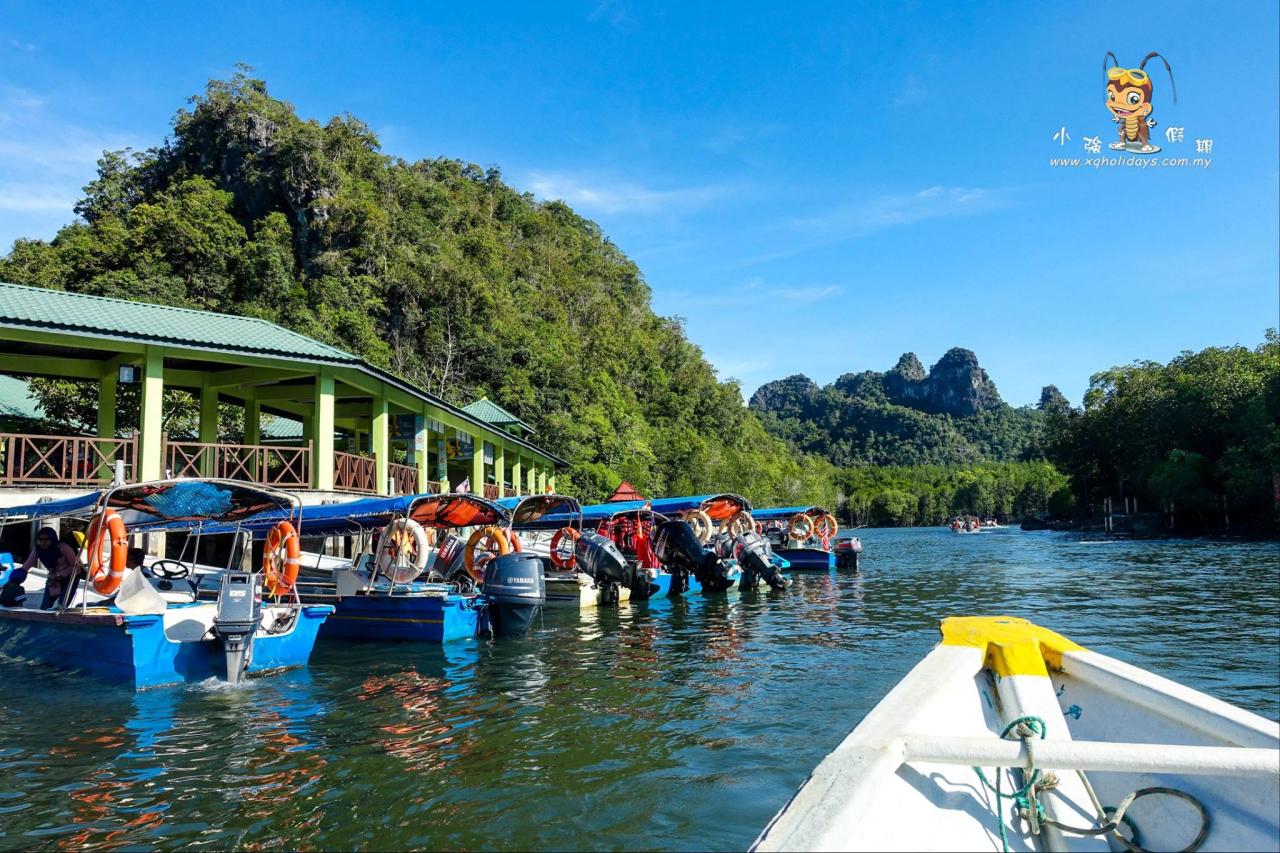 Jelajahi Keindahan Mangrove Langkawi yang Eksotis